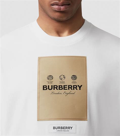 burberry t shirt price in usa|burberry t shirt original price.